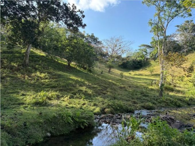 1.5-Hectare Farm in Ciri Grande, Capira with Freshwater Stream