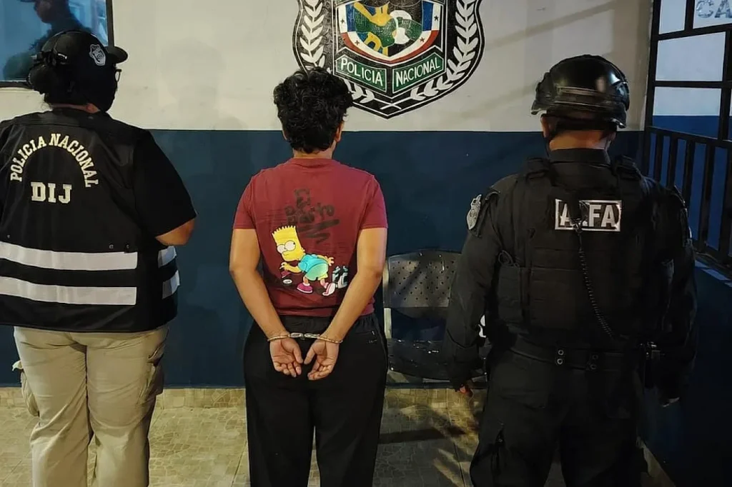 REAL ESTATE SCAM NETWORK DISMANTLED 4 by national police