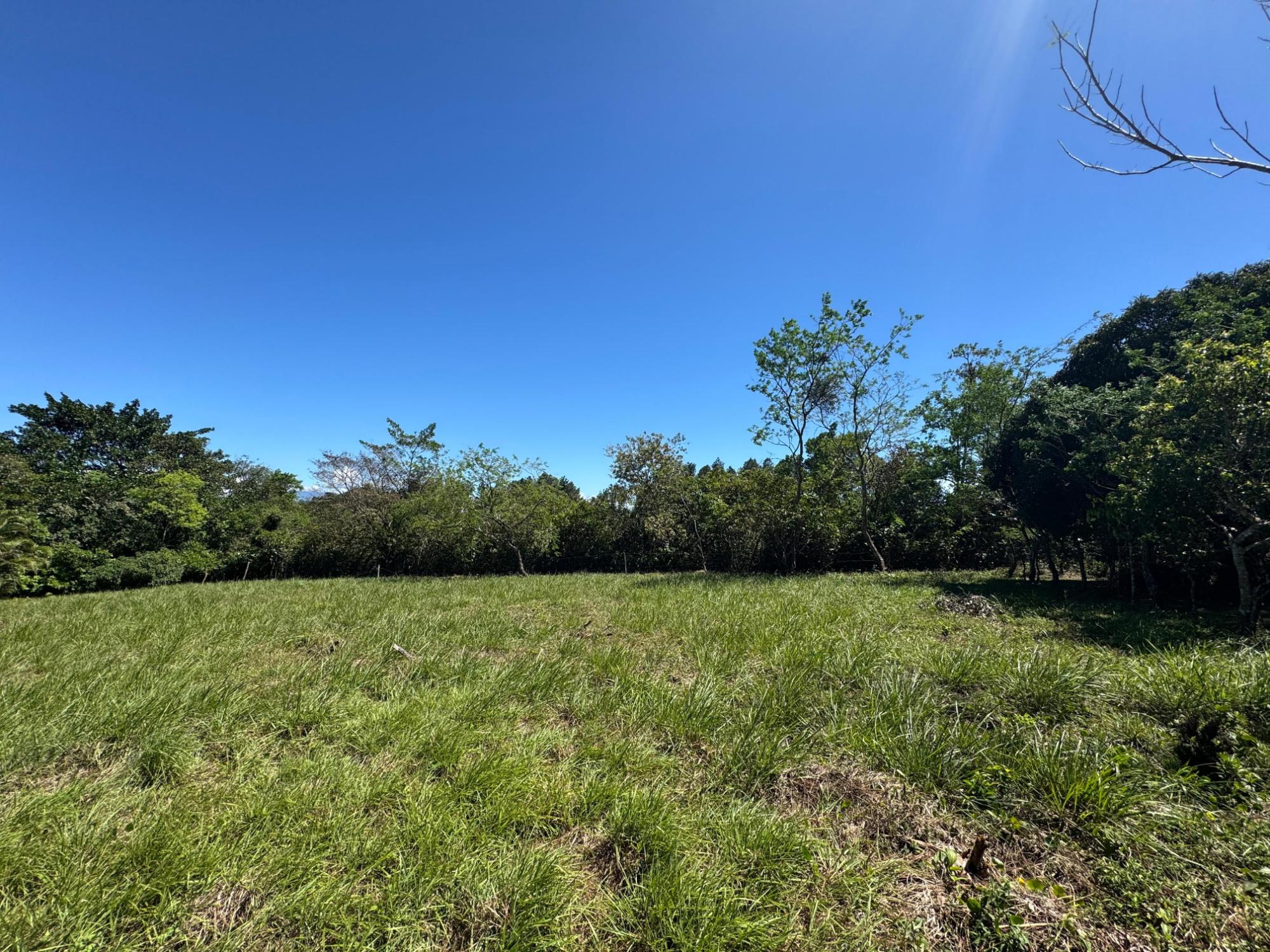 Pine retreat in Potrerillos Abajo