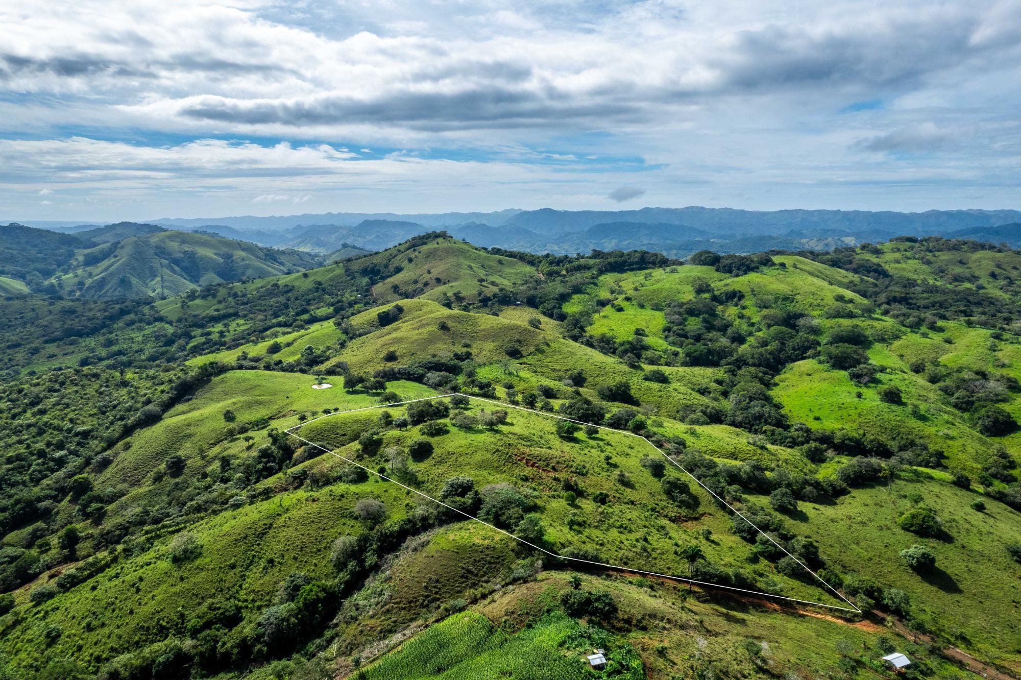 7 Ha Farm in Las Tablas Los Santos Panama