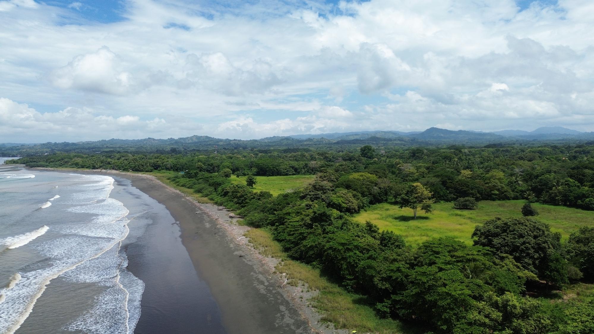 +9 Hectares of Flat Beachfront Land for Sale