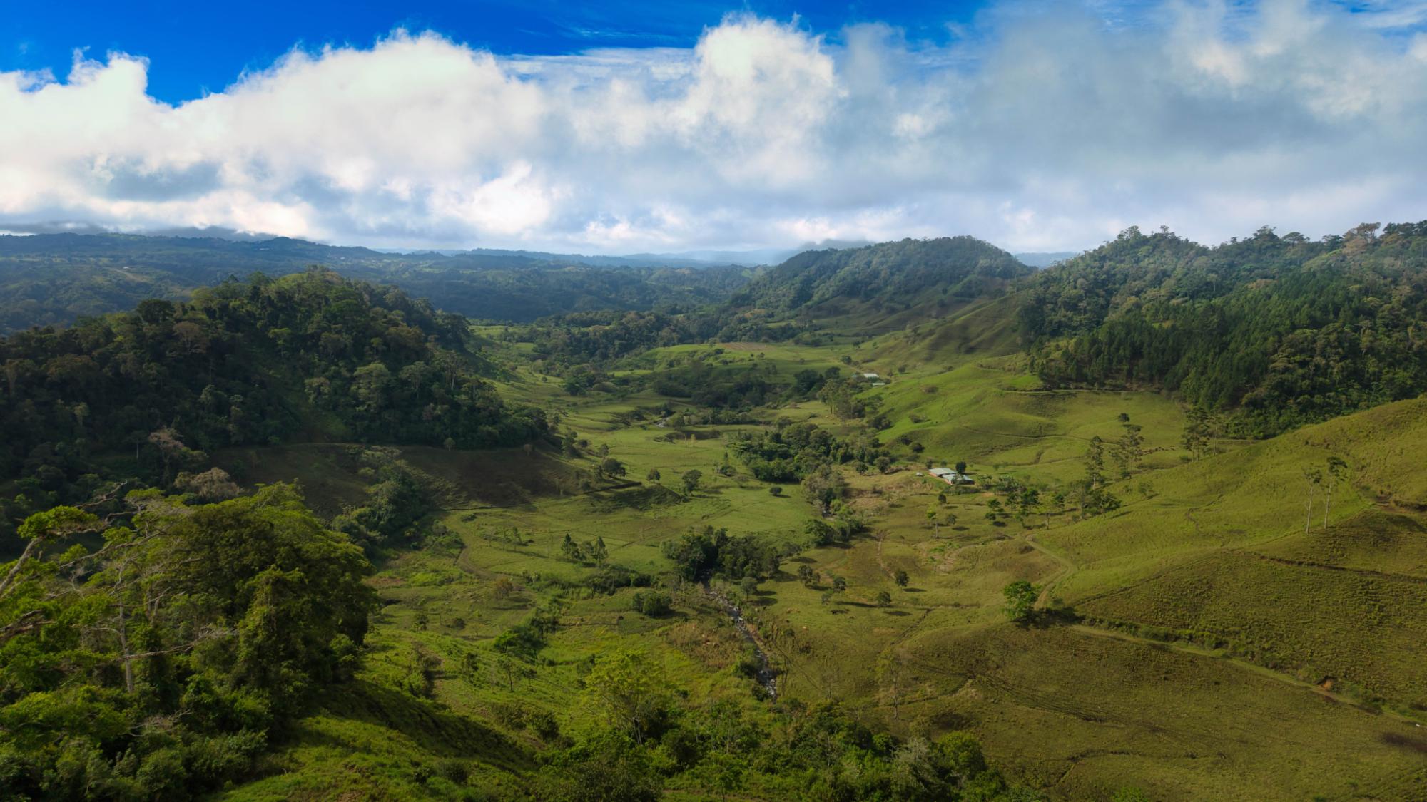 agricultural farm in Cotito Highlands