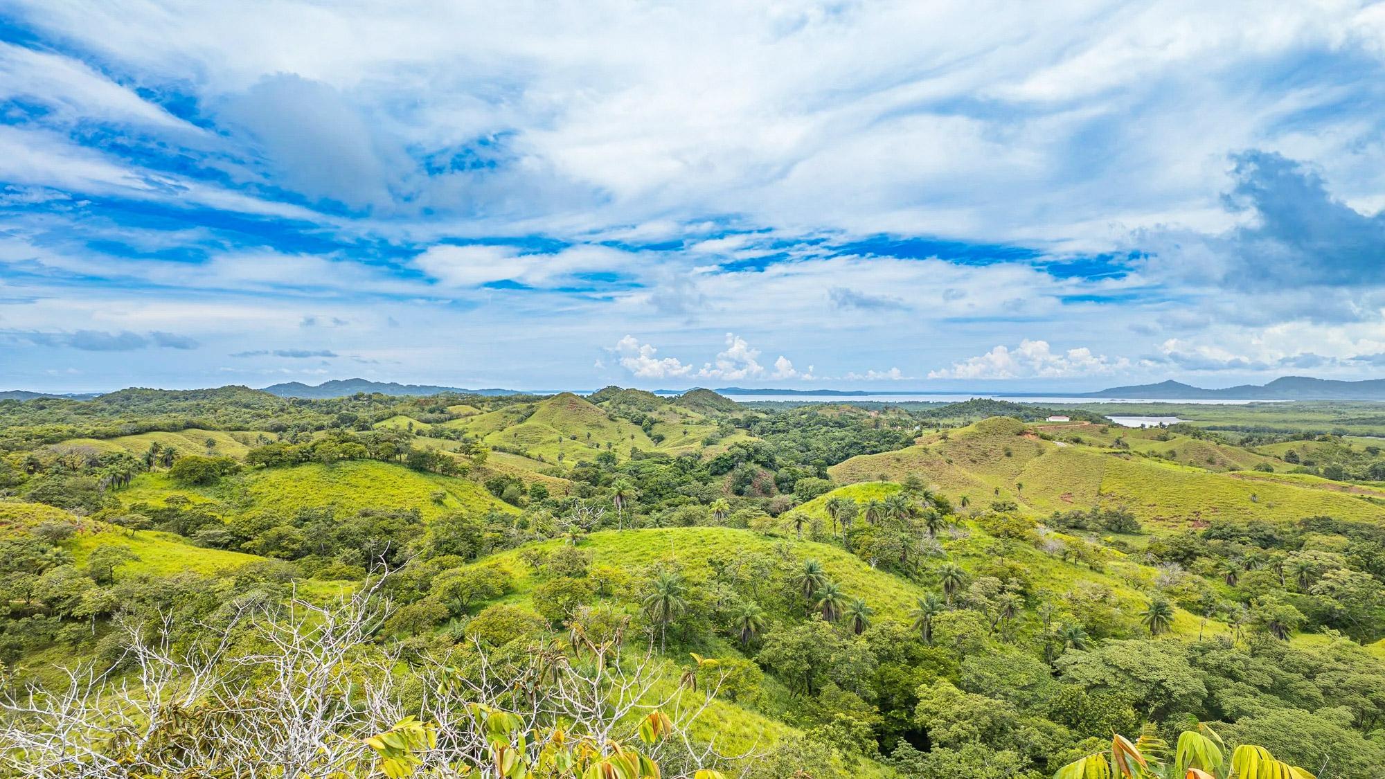 6-Hectare Hill Property for Sale in Boca Chica