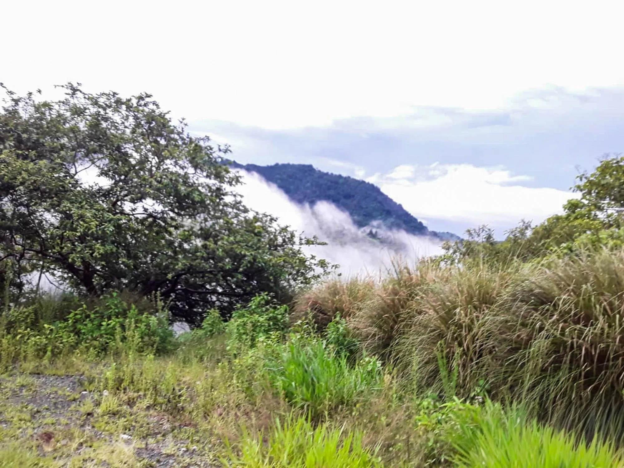 1 Hectare Land for Sale in Cerro Azul Panama