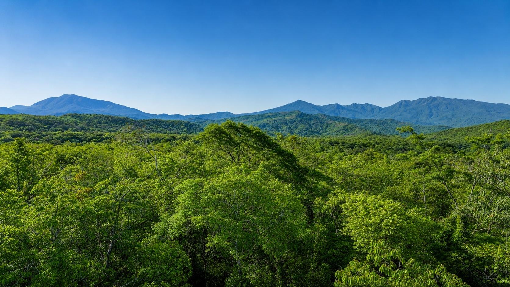 1-Hectare Lot for Sale in Bijagual, Gualaca