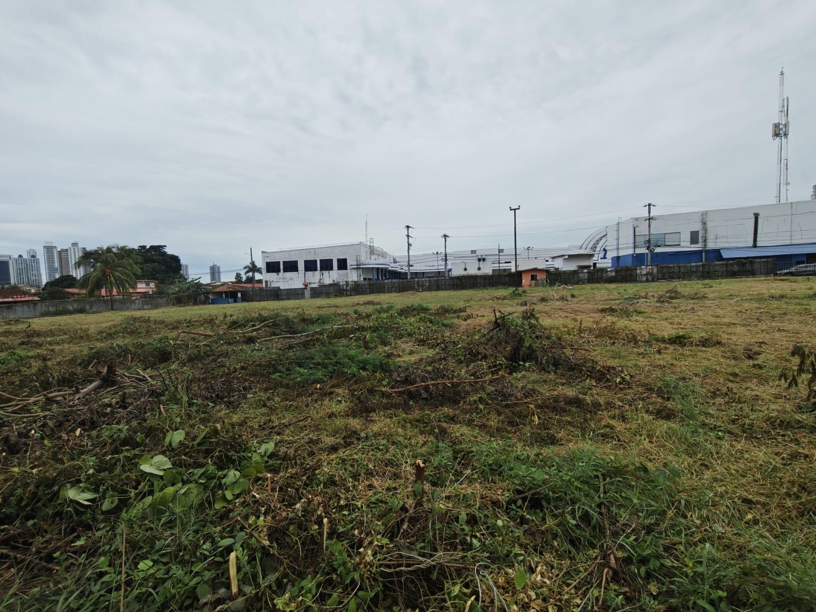 Commercial Land for Sale on Ave. Jose Agustin A.