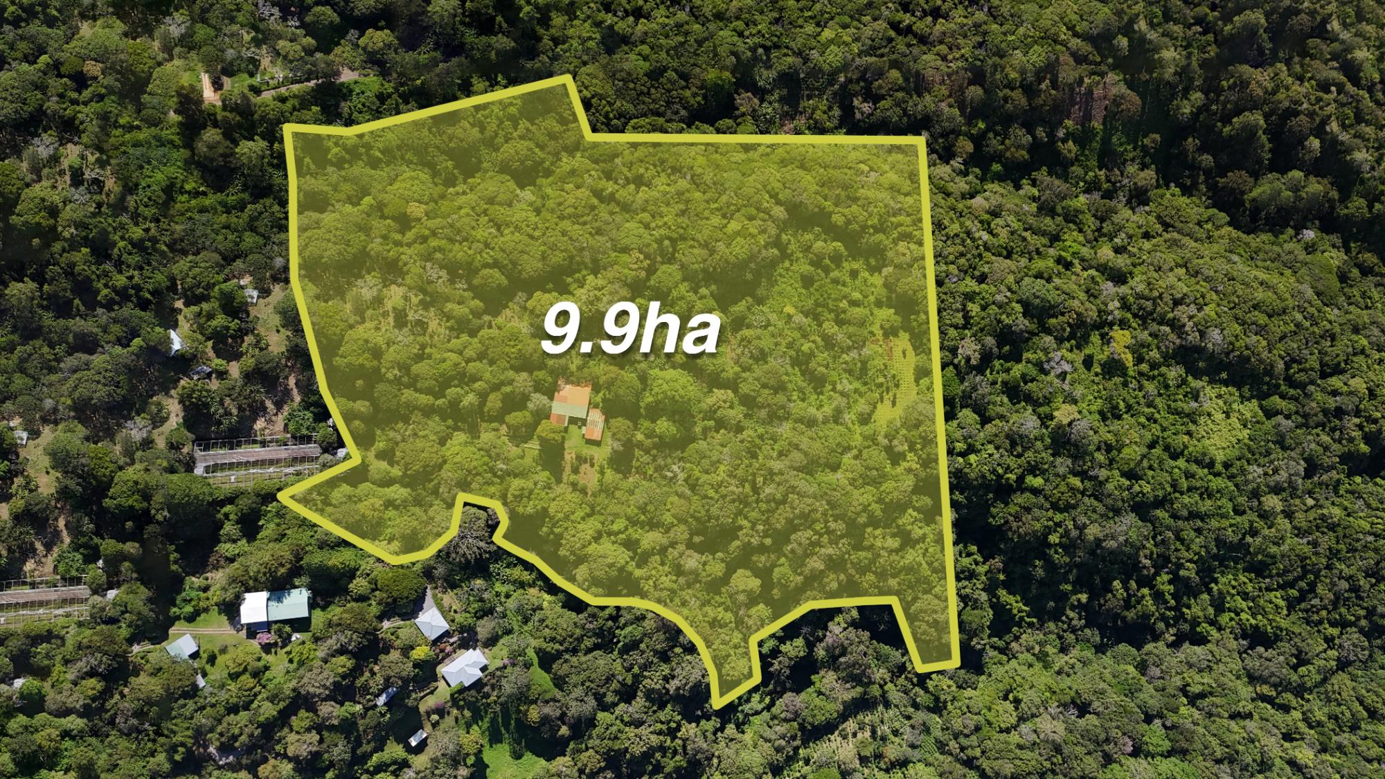 Investment Land In Boquete Panama