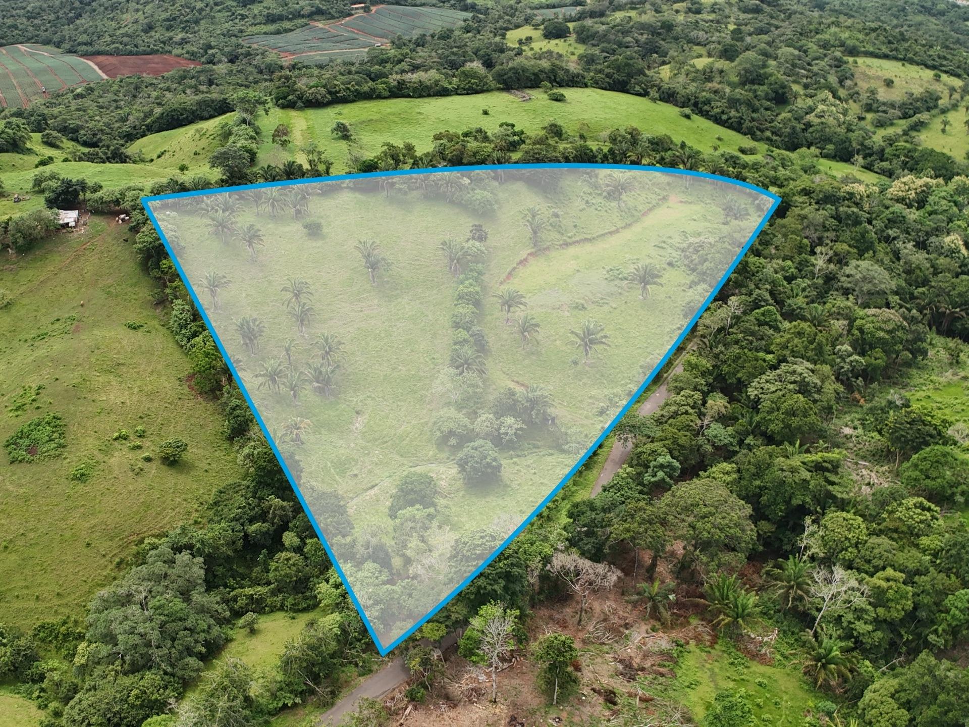 Land for Sale in El Trapichito, La Chorrera