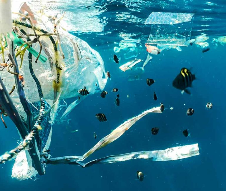 Costa Rica’s Single-Use Plastics Ban Takes Effect